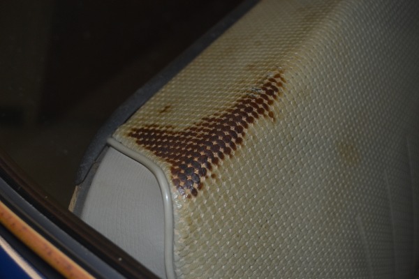 Used 1971 Volkswagen Beetle  | Pinellas Park, FL n15